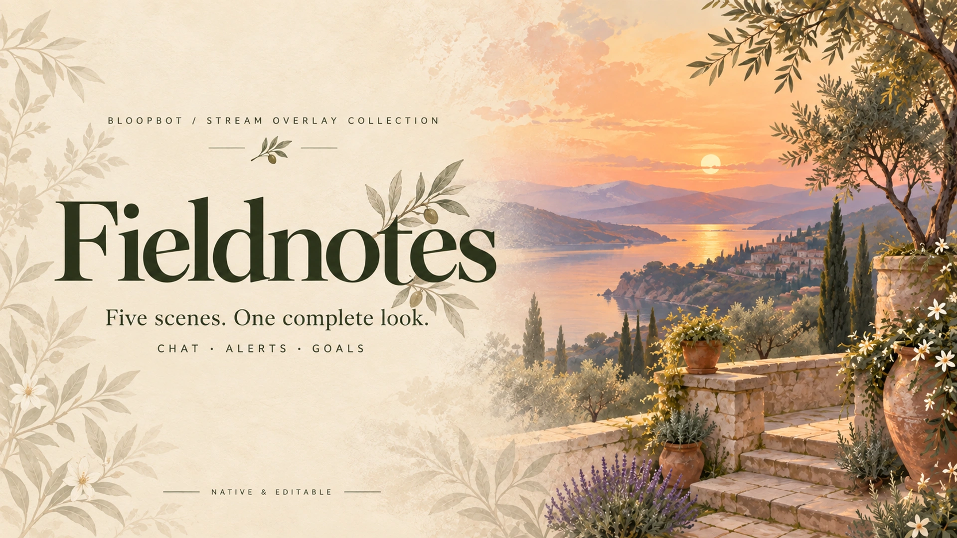 Fieldnotes